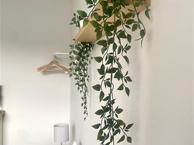 Picture 8